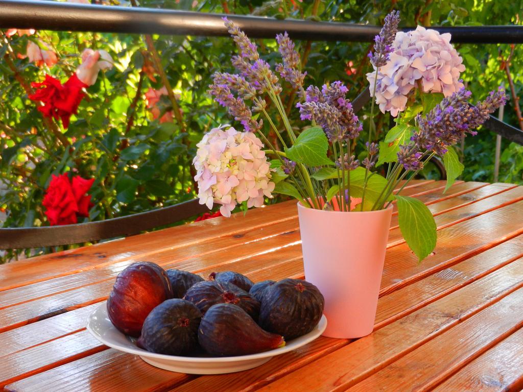 Guest House Villa Leonardo Herceg Novi Exterior photo