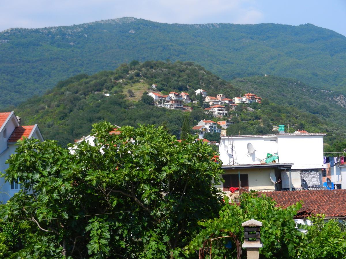 Guest House Villa Leonardo Herceg Novi Exterior photo
